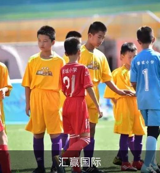 关于汇赢国际